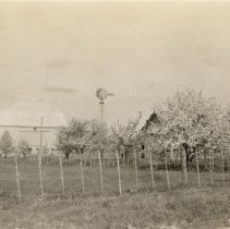 Omc1985.008.178 Image 600dpi